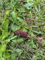 2a_Besuch am Weltacker